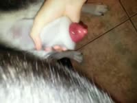 Red dog knot getting jerked and spraying